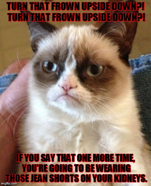 Grumpy Cat Meme | TURN THAT FROWN UPSIDE DOWN?! TURN THAT FROWN UPSIDE DOWN?! IF YOU SAY THAT ONE MORE TIME, YOU'RE GOING TO BE WEARING THOSE JEAN SHORTS ON Y | image tagged in memes,grumpy cat | made w/ Imgflip meme maker