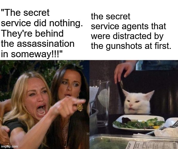 people who make ridiculous theories about assassinations are the same weight as discord mods. | "The secret service did nothing. They're behind the assassination in someway!!!"; the secret service agents that were distracted by the gunshots at first. | image tagged in memes,woman yelling at cat,funny,donald trump,secret service | made w/ Imgflip meme maker