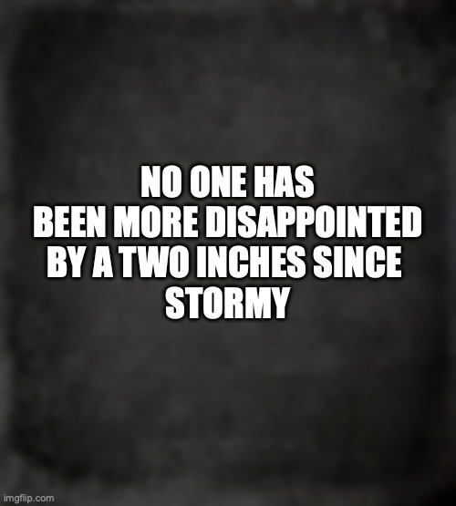 trump fun | NO ONE HAS BEEN MORE DISAPPOINTED BY A TWO INCHES SINCE 
STORMY | image tagged in trump,funny memes,stormy daniels | made w/ Imgflip meme maker