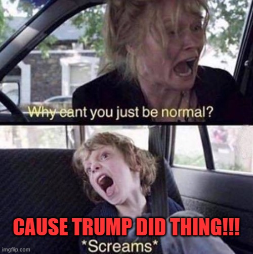 Why Can't You Just Be Normal | CAUSE TRUMP DID THING!!! | image tagged in why can't you just be normal | made w/ Imgflip meme maker