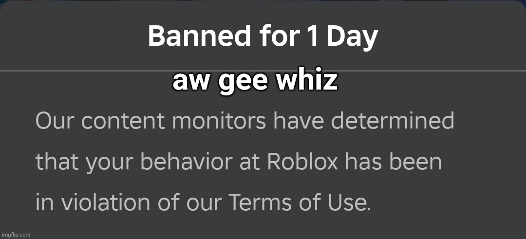 banned for 1 day | aw gee whiz | image tagged in banned for 1 day | made w/ Imgflip meme maker