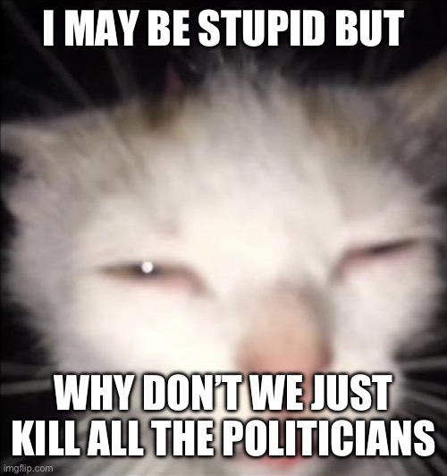 squinting cat | I MAY BE STUPID BUT; WHY DON’T WE JUST KILL ALL THE POLITICIANS | image tagged in squinting cat | made w/ Imgflip meme maker