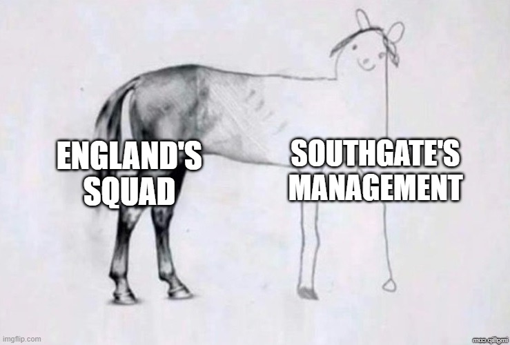 Horse Drawing | SOUTHGATE'S MANAGEMENT; ENGLAND'S SQUAD | image tagged in horse drawing | made w/ Imgflip meme maker