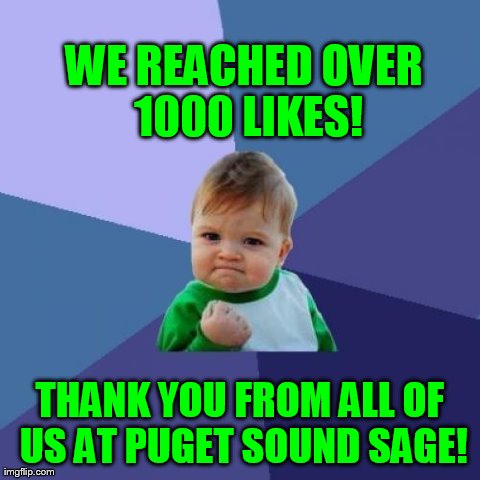 Success Kid Meme | WE REACHED OVER 1000 LIKES! THANK YOU FROM ALL OF US AT PUGET SOUND SAGE! | image tagged in memes,success kid | made w/ Imgflip meme maker