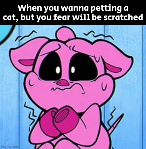 Anyone afraid of getting scratched by a cat? I do. | When you wanna petting a cat, but you fear will be scratched | image tagged in funny,cats,petting,scratch | made w/ Imgflip meme maker