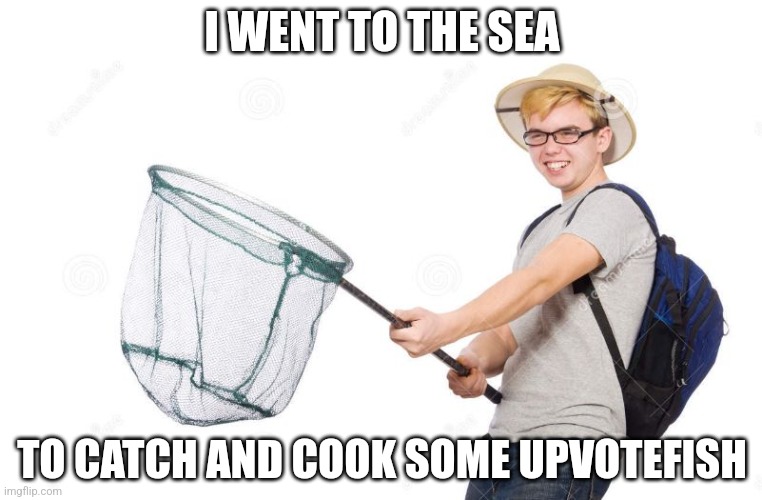 fishing net | I WENT TO THE SEA; TO CATCH AND COOK SOME UPVOTEFISH | image tagged in fishing net | made w/ Imgflip meme maker