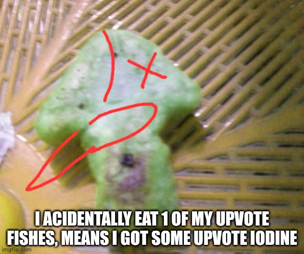 Upvote cookie | I ACIDENTALLY EAT 1 OF MY UPVOTE FISHES, MEANS I GOT SOME UPVOTE IODINE | image tagged in upvote cookie | made w/ Imgflip meme maker