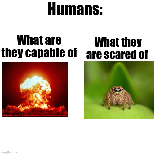 My 6000th creation | Humans:; What are they capable of; What they are scared of | image tagged in memes,funny,spider,nukes | made w/ Imgflip meme maker