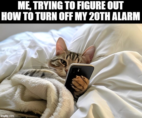 20th alarm | ME, TRYING TO FIGURE OUT HOW TO TURN OFF MY 20TH ALARM | image tagged in memes | made w/ Imgflip meme maker