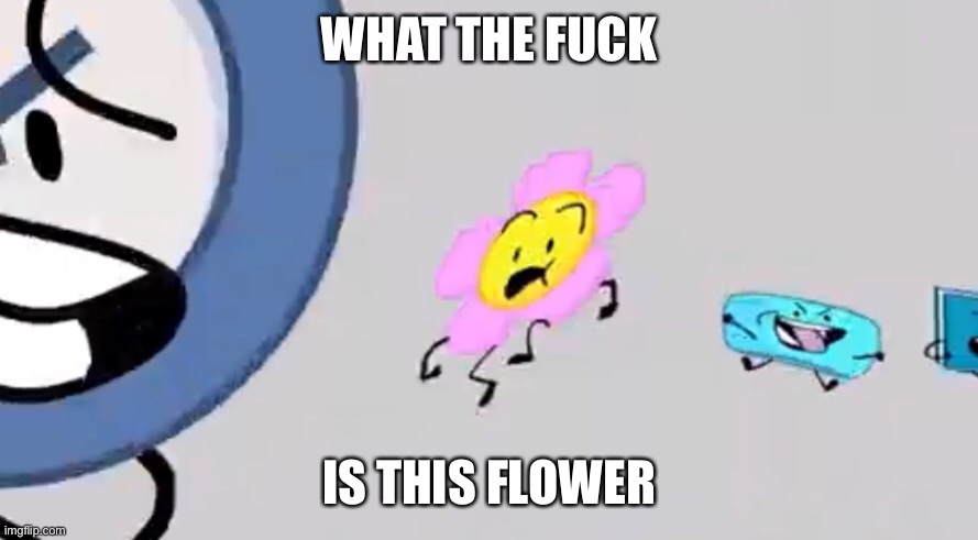 WHAT THE FUCK; IS THIS FLOWER | made w/ Imgflip meme maker