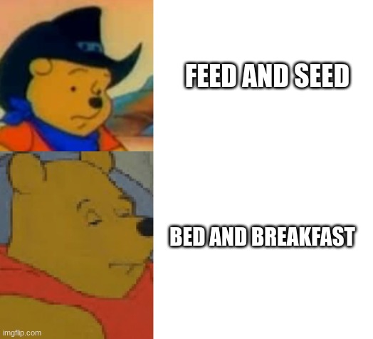 FEED AND SEED; BED AND BREAKFAST | image tagged in winnie the pooh,fancy winnie the pooh meme,tuxedo winnie the pooh grossed reverse,tuxedo winnie the pooh | made w/ Imgflip meme maker