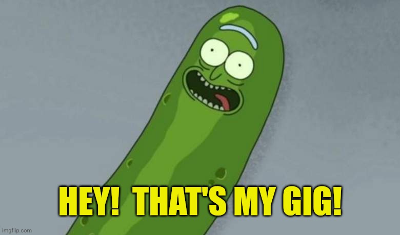 Pickle rick | HEY!  THAT'S MY GIG! | image tagged in pickle rick | made w/ Imgflip meme maker