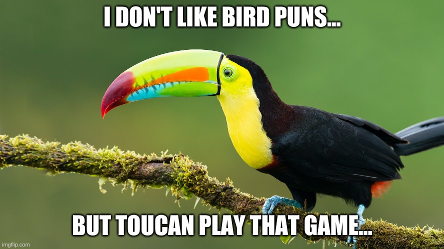 Toucan | I DON'T LIKE BIRD PUNS... BUT TOUCAN PLAY THAT GAME... | image tagged in puns,bad puns,bad pun | made w/ Imgflip meme maker