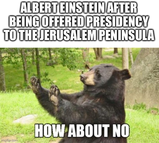 How About No Bear | ALBERT EINSTEIN AFTER BEING OFFERED PRESIDENCY TO THE JERUSALEM PENINSULA | image tagged in memes,how about no bear | made w/ Imgflip meme maker
