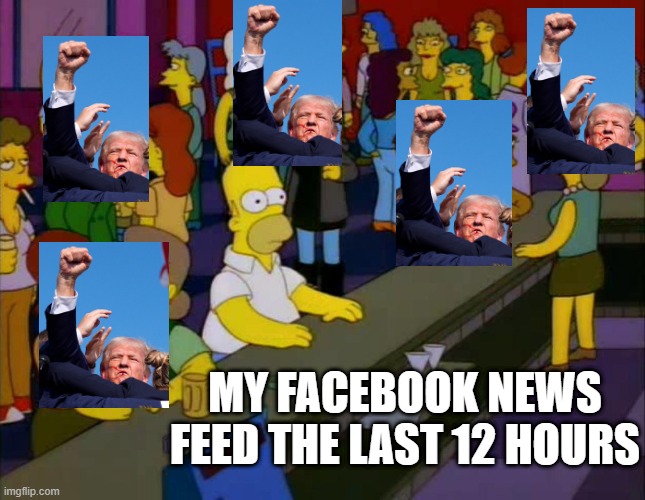 Every.Other.Post | MY FACEBOOK NEWS FEED THE LAST 12 HOURS | image tagged in homer simpson me on facebook | made w/ Imgflip meme maker