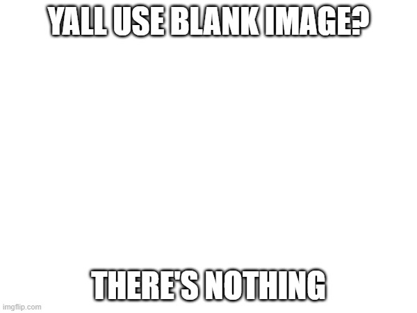 empty | YALL USE BLANK IMAGE? THERE'S NOTHING | image tagged in wow look nothing | made w/ Imgflip meme maker