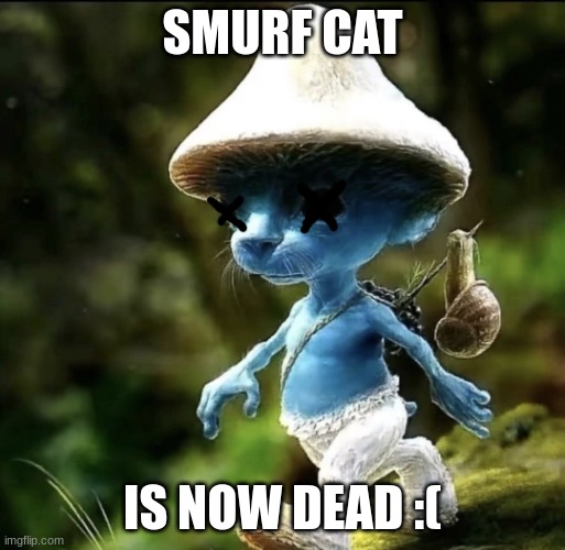 Blue Smurf cat | SMURF CAT IS NOW DEAD :( | image tagged in blue smurf cat | made w/ Imgflip meme maker