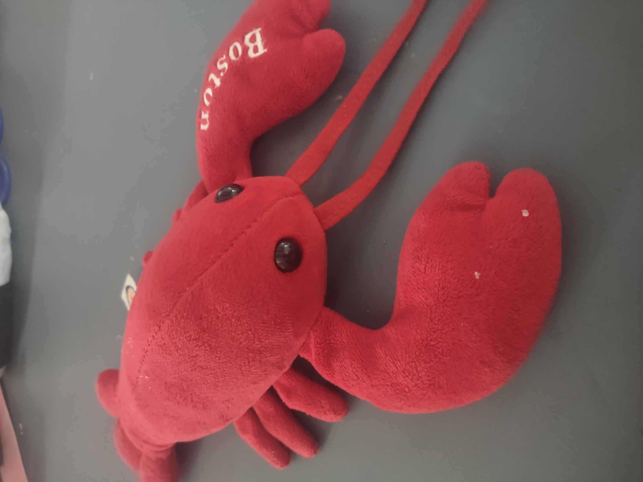 Lobster plushie Blank Meme Template