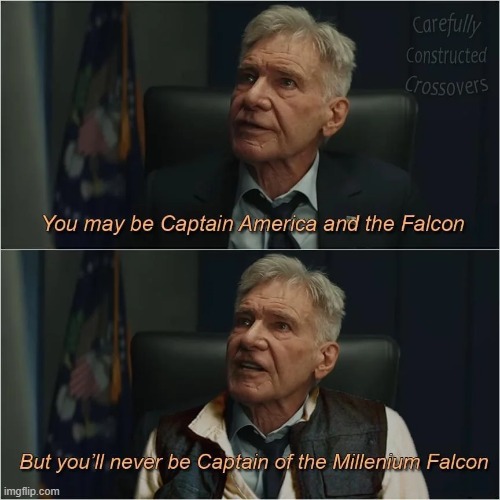 Falcons | image tagged in captain america,falcon | made w/ Imgflip meme maker