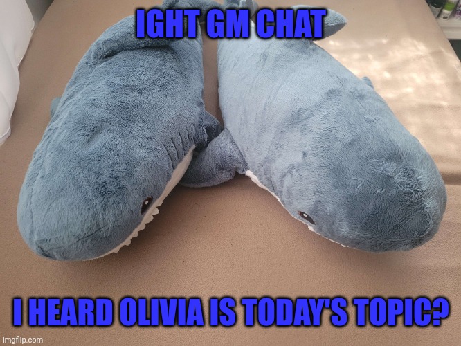 Yippe finding more stupid reasons to hate people, classic msmg | IGHT GM CHAT; I HEARD OLIVIA IS TODAY'S TOPIC? | image tagged in my brother's and my blahaj | made w/ Imgflip meme maker