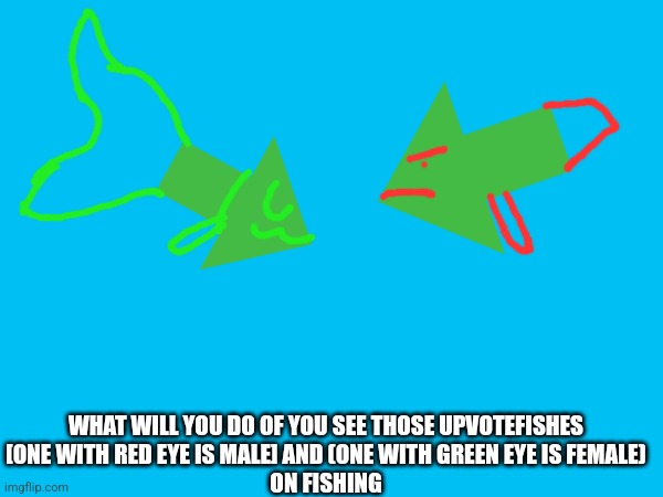 What will you do if you see those fish | WHAT WILL YOU DO OF YOU SEE THOSE UPVOTEFISHES
[ONE WITH RED EYE IS MALE] AND (ONE WITH GREEN EYE IS FEMALE)
ON FISHING | image tagged in fishing | made w/ Imgflip meme maker