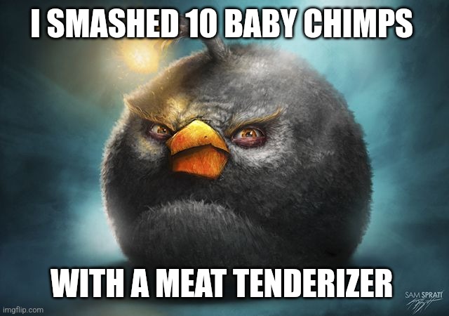 Savage | I SMASHED 10 BABY CHIMPS; WITH A MEAT TENDERIZER | image tagged in angry birds bomb | made w/ Imgflip meme maker