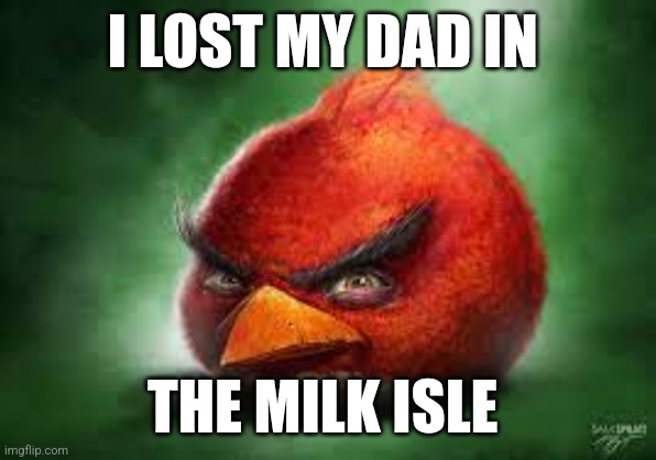 Dad noo | I LOST MY DAD IN; THE MILK ISLE | image tagged in realistic red angry birds | made w/ Imgflip meme maker