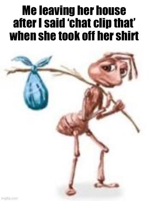 Sad ant with bindle | Me leaving her house after I said ‘chat clip that’ when she took off her shirt | image tagged in sad ant with bindle | made w/ Imgflip meme maker