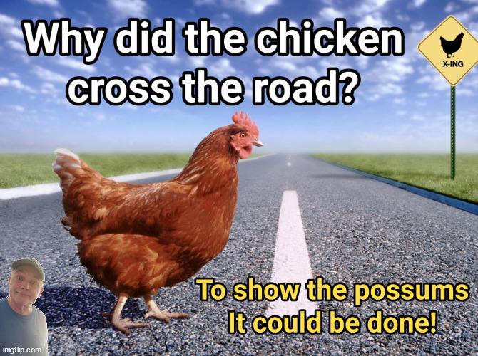 Chicken Cross The Road | image tagged in durlearl | made w/ Imgflip meme maker