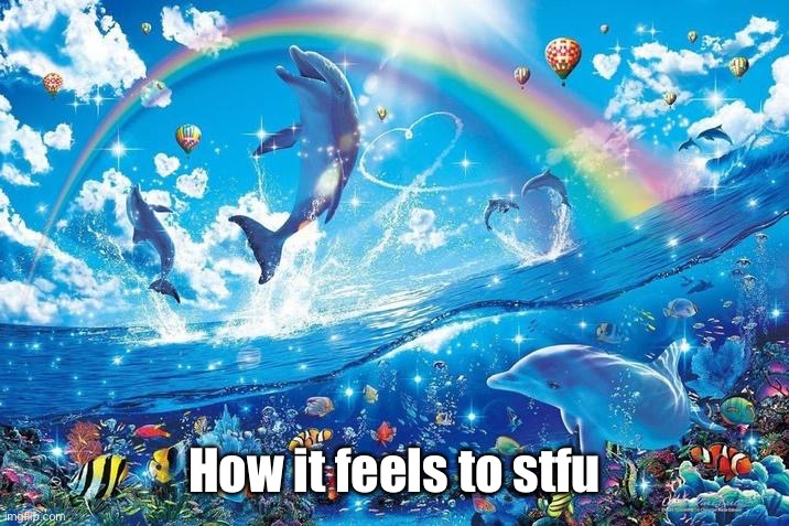 Happy dolphin rainbow | How it feels to stfu | image tagged in happy dolphin rainbow | made w/ Imgflip meme maker