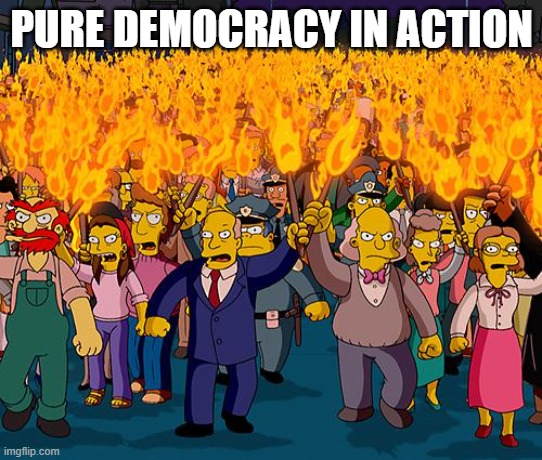 angry mob | PURE DEMOCRACY IN ACTION | image tagged in angry mob | made w/ Imgflip meme maker