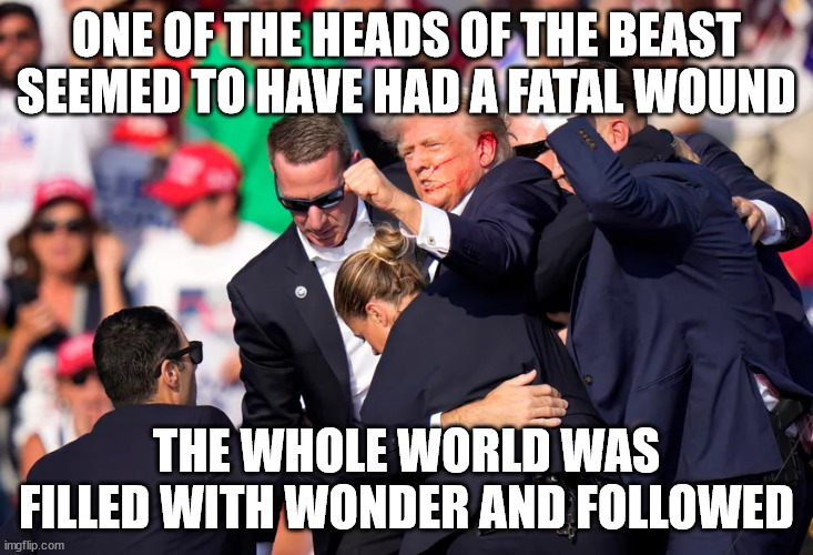 ONE OF THE HEADS OF THE BEAST SEEMED TO HAVE HAD A FATAL WOUND; THE WHOLE WORLD WAS FILLED WITH WONDER AND FOLLOWED | made w/ Imgflip meme maker