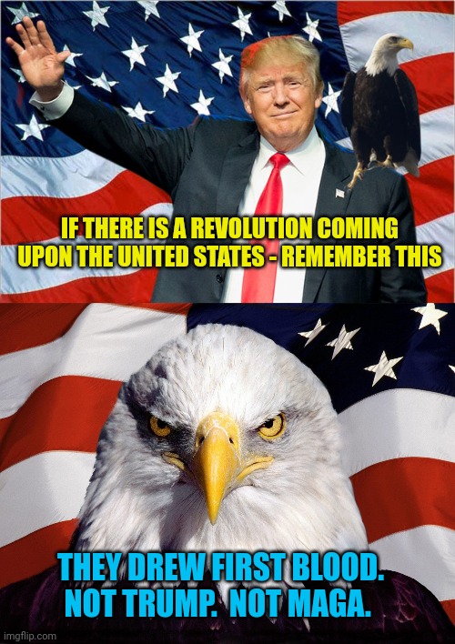 Vote like Dangerous Democrats are running things.  They tried to Assassinate Trump. | IF THERE IS A REVOLUTION COMING UPON THE UNITED STATES - REMEMBER THIS; THEY DREW FIRST BLOOD.  NOT TRUMP.  NOT MAGA. | image tagged in trump nationalism maga,freedom eagle | made w/ Imgflip meme maker