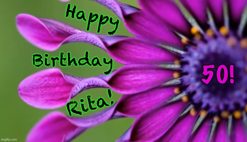 Happy; 50! Birthday; Rita! | image tagged in happy happy,memes | made w/ Imgflip meme maker