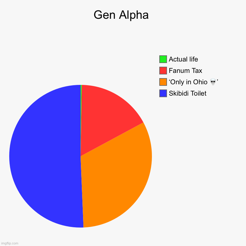 Gen Alpha | Skibidi Toilet, ‘Only in Ohio ?’, Fanum Tax, Actual life | image tagged in charts,pie charts | made w/ Imgflip chart maker