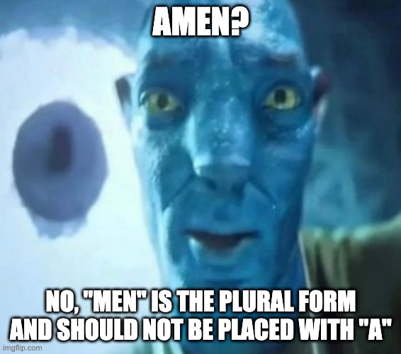 Avatar guy | AMEN? NO, "MEN" IS THE PLURAL FORM AND SHOULD NOT BE PLACED WITH "A" | image tagged in avatar guy,christian | made w/ Imgflip meme maker