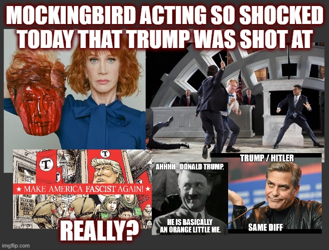 The Mainstream Media Is The Enemy Of The People | MOCKINGBIRD ACTING SO SHOCKED TODAY THAT TRUMP WAS SHOT AT; REALLY? | image tagged in msm,mainstream media,operation mockingbird,politics,the great awakening,we are the news now | made w/ Imgflip meme maker