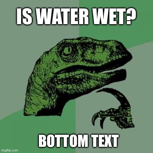 Is water wet? | IS WATER WET? BOTTOM TEXT | image tagged in memes,philosoraptor | made w/ Imgflip meme maker