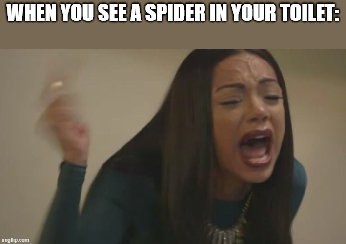 Meme | WHEN YOU SEE A SPIDER IN YOUR TOILET: | image tagged in erica mena screaming | made w/ Imgflip meme maker