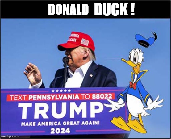 That Was Close ! | DUCK ! DONALD | image tagged in donald trump,assassination,attempt,donald duck,dark humour | made w/ Imgflip meme maker