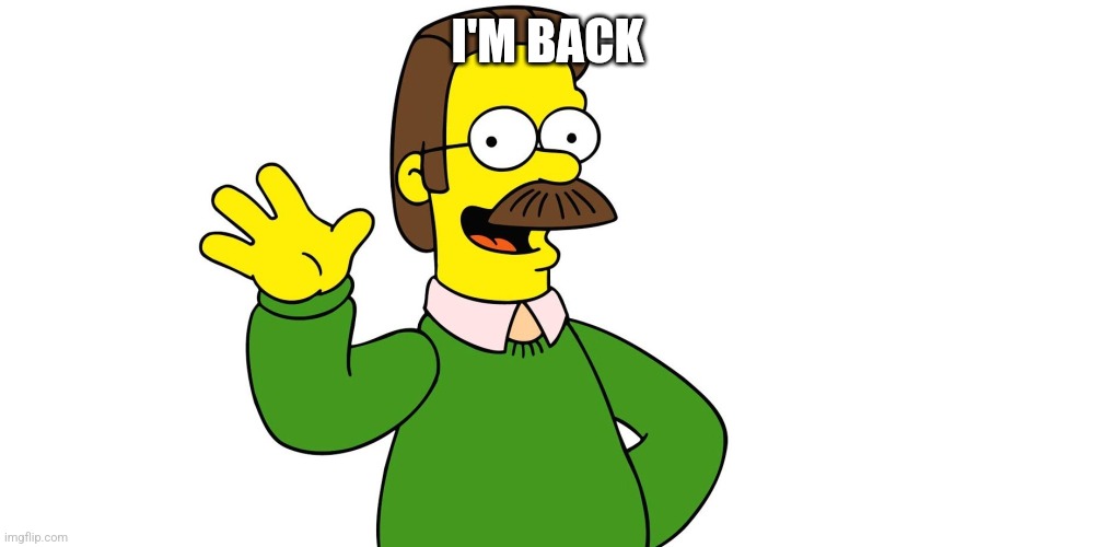 Sry for the unannounced break | I'M BACK | image tagged in ned flanders wave | made w/ Imgflip meme maker