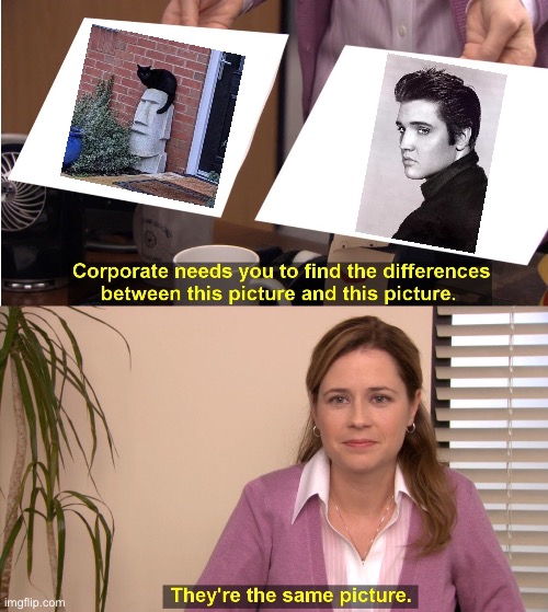 They’re the same picture | image tagged in they're the same picture,elvis,elvis presley,music,cats,cat | made w/ Imgflip meme maker
