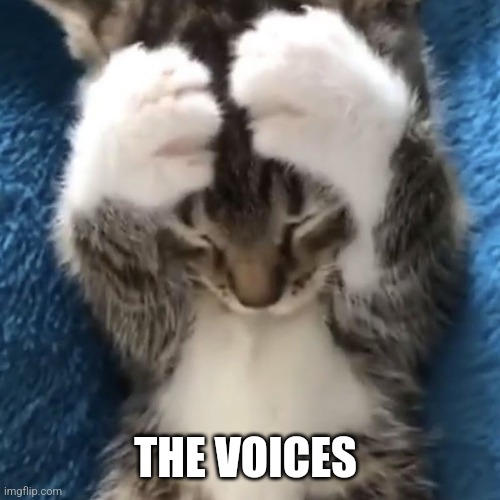 There getting lounder | THE VOICES | image tagged in cat | made w/ Imgflip meme maker
