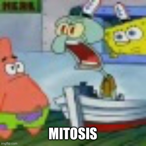 MITOSIS | made w/ Imgflip meme maker