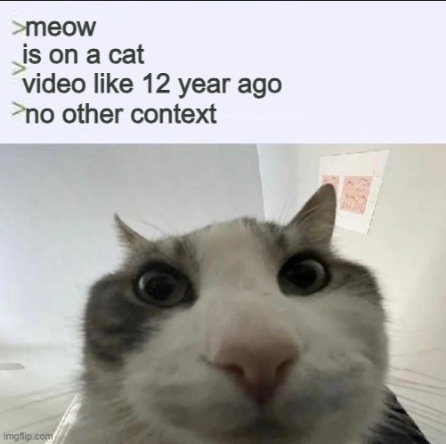 Cat looks inside | meow; is on a cat video like 12 year ago; no other context | image tagged in cat looks inside | made w/ Imgflip meme maker