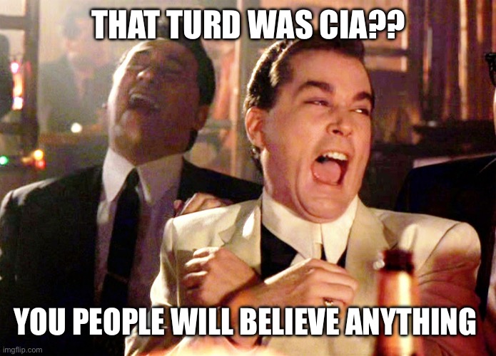Good Fellas Hilarious Meme | THAT TURD WAS CIA?? YOU PEOPLE WILL BELIEVE ANYTHING | image tagged in memes,good fellas hilarious | made w/ Imgflip meme maker