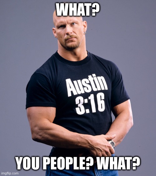 Stone Cold Steve Austin | WHAT? YOU PEOPLE? WHAT? | image tagged in stone cold steve austin | made w/ Imgflip meme maker