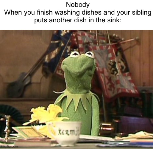 Your washing that. | Nobody
When you finish washing dishes and your sibling puts another dish in the sink: | image tagged in annoyed kermit,memes | made w/ Imgflip meme maker