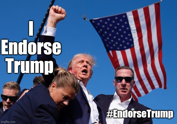 #EndorseTrump | I Endorse Trump; @RightEyeGuy; #EndorseTrump | image tagged in trump | made w/ Imgflip meme maker