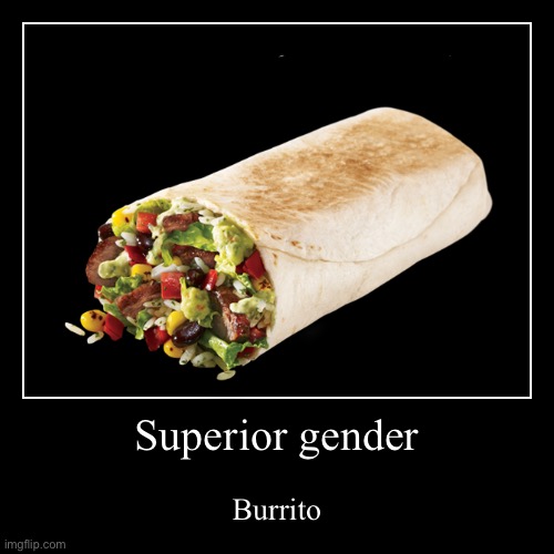 This was in a dream I had | Superior gender | Burrito | image tagged in funny,demotivationals | made w/ Imgflip demotivational maker